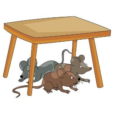 Muchos ratones bajo la mesa | Vector Premium