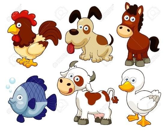 TOMi.digital - Animales domésticos