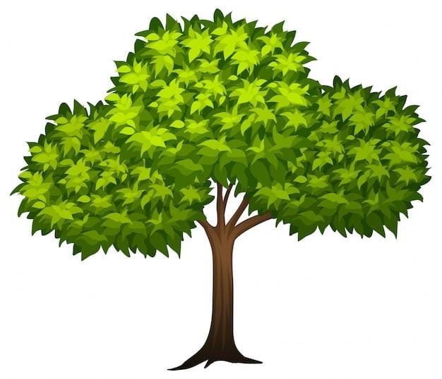 Imágenes de Arbol Verde - Descarga gratuita en Freepik